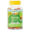 Spring Valley Kids' Probiotic + Prebiotic Vegetarian Gummies;  60 Count