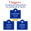 Chiggerex First Aid Medicated Ointment for Chiggers and Bug Bites, 1.75 oz