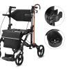 Rollator-Transport Chair